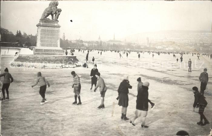 11670796 Zuerichsee Seegfroerni 1963 Loewenstatue Zuerichsee