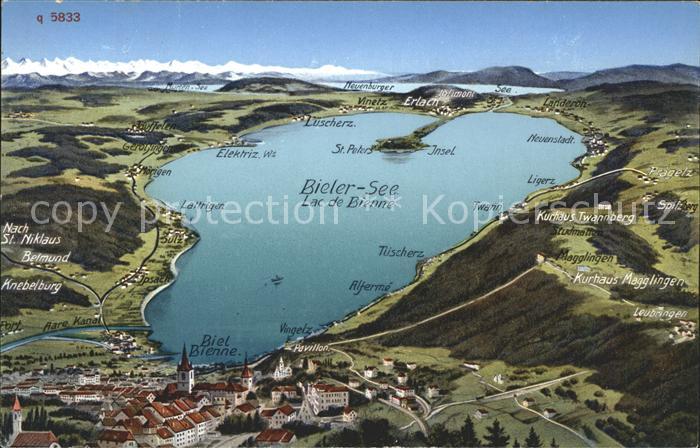 11672490 Bienne Lac de Bienne Carte panoramique Bienne/Bienne