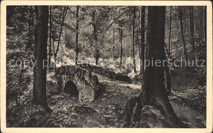 11672763 Hirslanden Zuerich Hirslanderberg Naturbruecke ueber den Elephantenbach