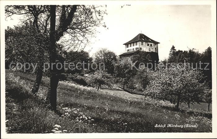 11672962 Zuerich Schloss Moersburg Zuerich