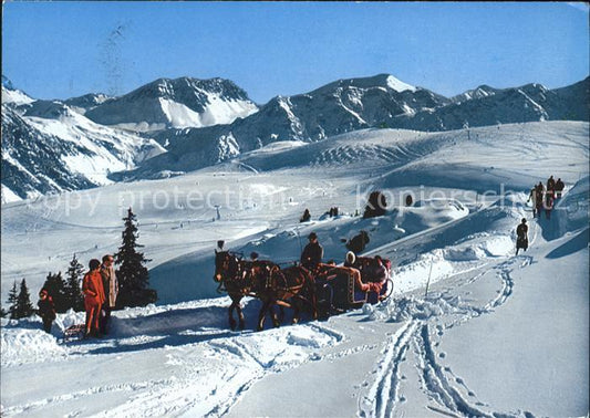 11695143 Arosa GR Promenade en traîneau tiré par des chevaux sur l'Arlenwaldstrasse Arosa