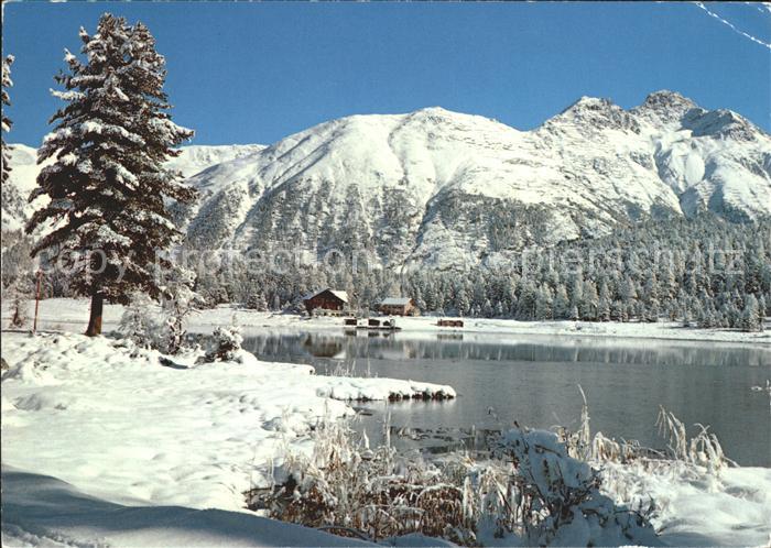 11695162 St Moritz GR Stazersee Saint-Moritz