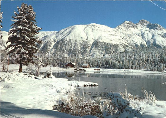 11695162 St Moritz GR Stazersee Saint-Moritz