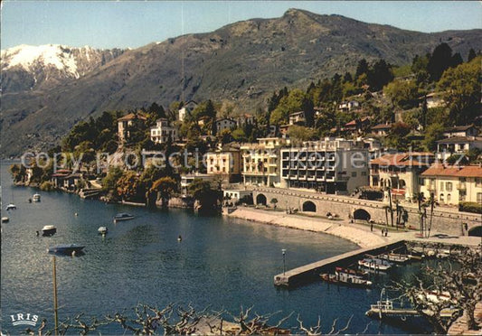 11695523 Ascona TI Lac Majeur Collina S Michele Ascona