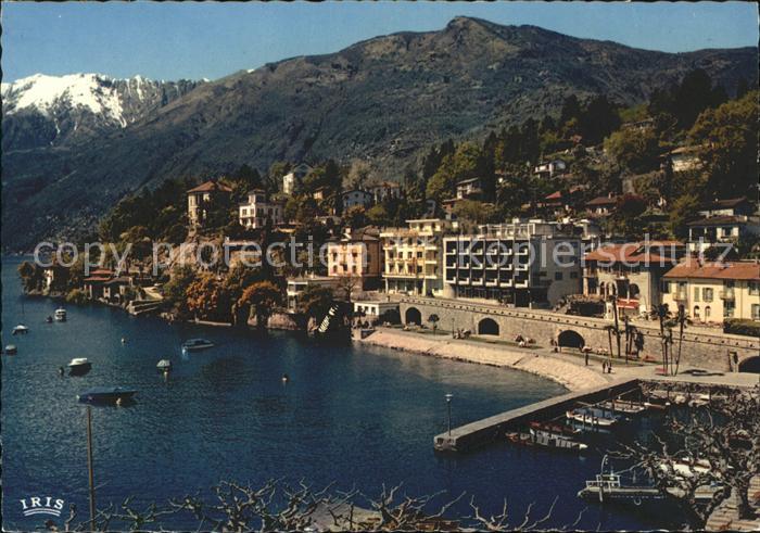 11695562 Ascona TI Lago Maggiore mit Collina S Michele Ascona