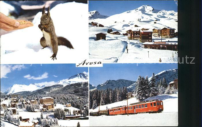 11696064 Arosa GR Weisshorn Untersee Rhaetische Bahn Eichhoernchen Arosa