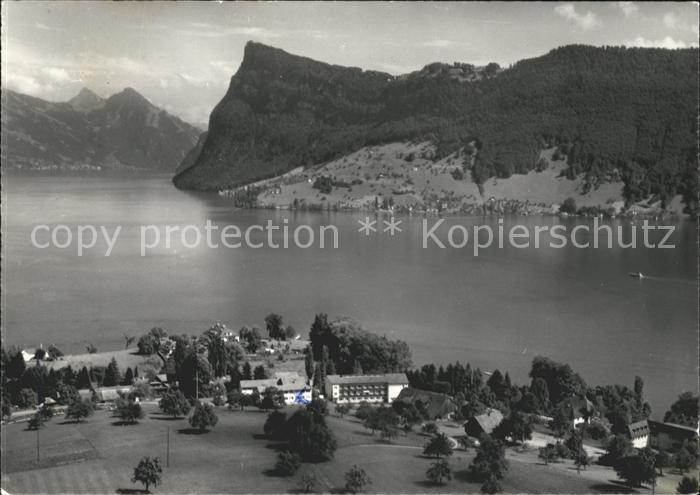 11696177 Photo aérienne de châtaignier Vierwaldstaettersee Kurheim St. Chrischon