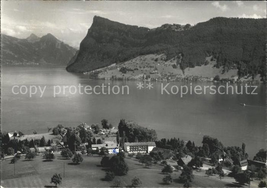 11696177 Photo aérienne de châtaignier Vierwaldstaettersee Kurheim St. Chrischon