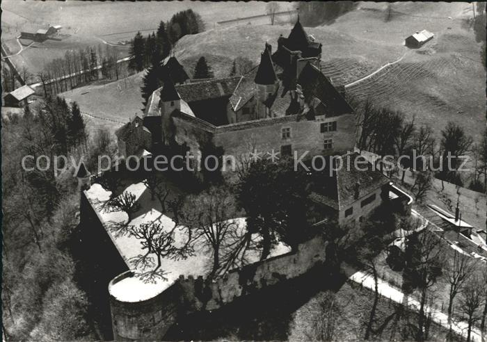 11698398 Gruyères FR Château de Gruyères Photo aérienne de Gruyères