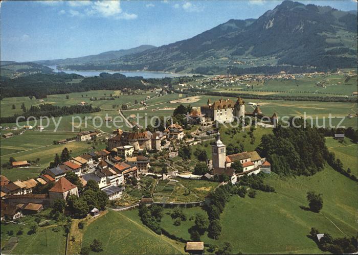 11698521 Gruyères FR Photo aérienne panoramique de Gruyères