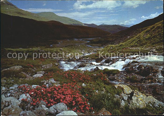 11702243 Arosa GR Lac Schwellisee Arosa