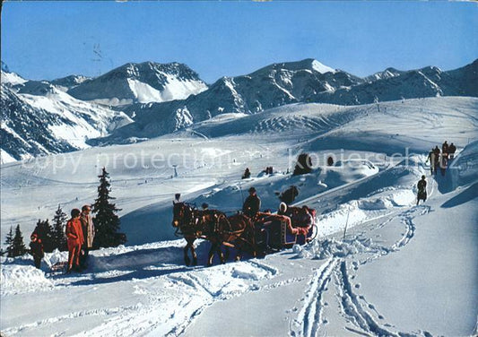 11718713 Arosa GR Arlenwaldstrasse Traîneau tiré par des chevaux Arosa