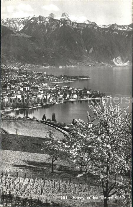 11733051 Vevey VD et les Tours d'Ai Vevey