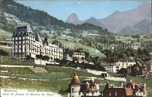 11733062 Montreux VD Hôtel Belmont Dent de Jaman et Rochers de Naye Montreux