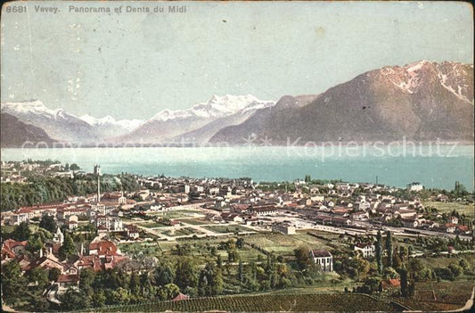 11731894 Vevey VD Panorama et Dent du Midi Vevey