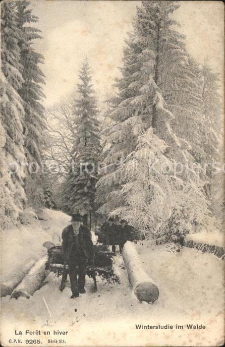 11731918 Lausanne VD La Forêt en hiver Lausanne