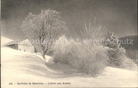 11731971 Montreux VD Hiver aux Avants Montreux