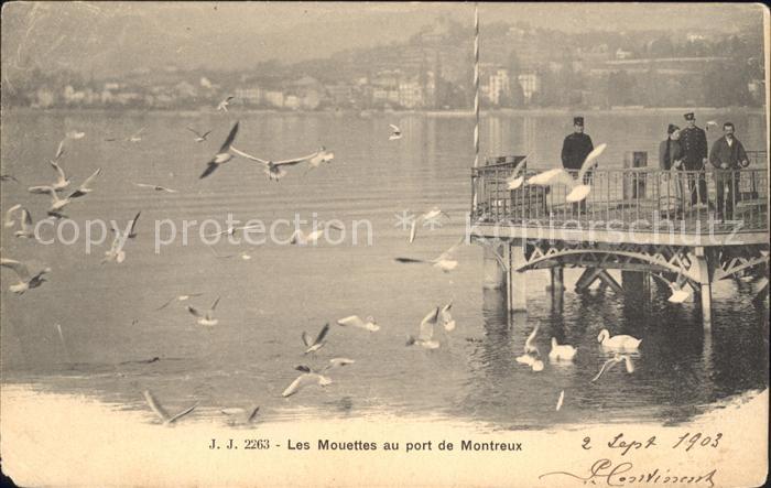 11732076 Montreux VD Les Mouettes au port de Montreux Montreux