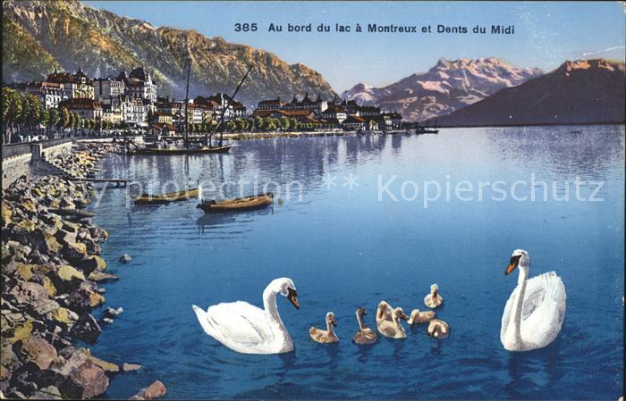 11732139 Montreux VD Au bord du lac à Montreux et des bosses du Midi Montreux