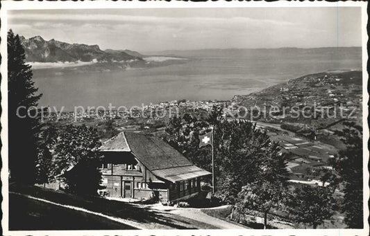 11736138 Vevey VD Restaurant des Pléiades et vue sur le Lac Léman Vevey VD