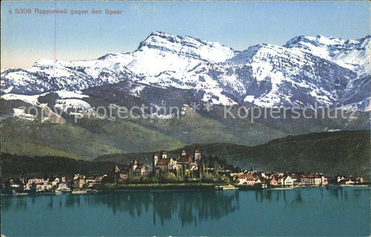 11737778 Rapperswil SG Zuerichsee Alpes Speer Rapperswil SG