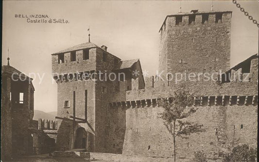 11742721 Bellinzone Château de Svitto Bellinzone