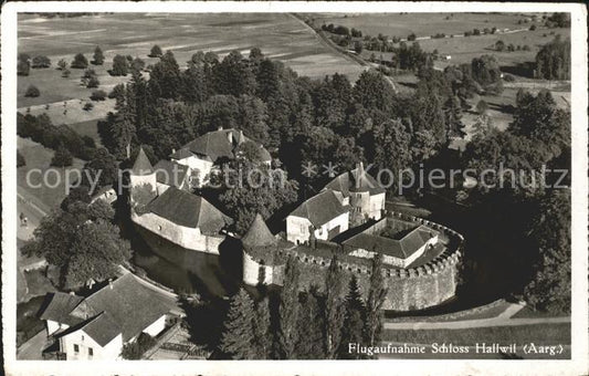 11745357 Hallwil Schloss Hallwil Fliegeraufnahme Hallwil