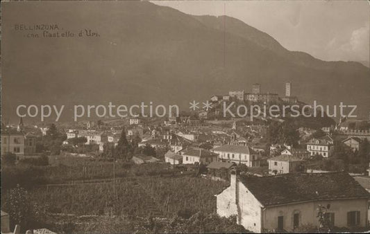 11749989 Bellinzona avec Château d'Uri Bellinzona