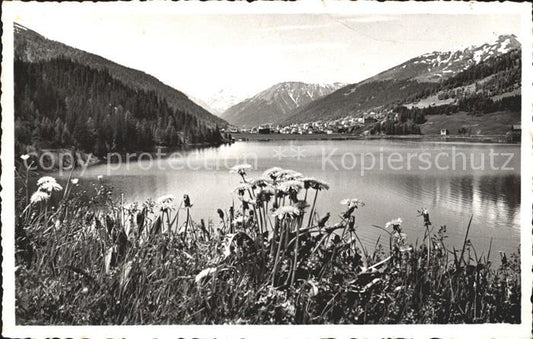 11780845 Davos GR Journée d'été au bord du lac Davos Davos Platz