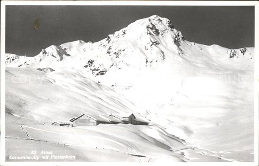 11781041 Arosa GR Carmenna Alp avec corne à plaque Arosa