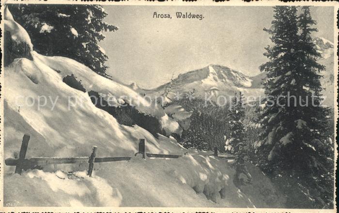 11781307 Arosa GR Waldweg Arosa