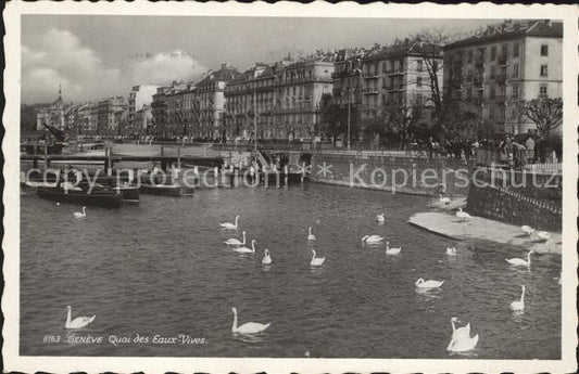 11754779 Genève GE Quai des Eaux Vives Genève