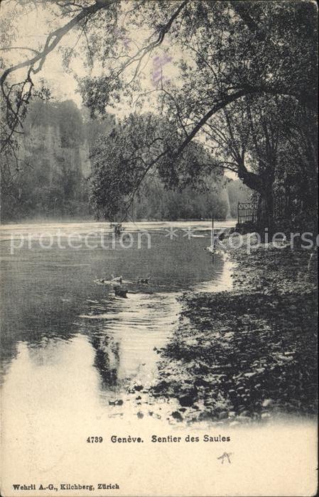 11754838 Genève GE Sentier des Saules Genève