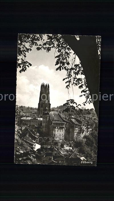 11773736 Fribourg FR Cathédrale Fribourg