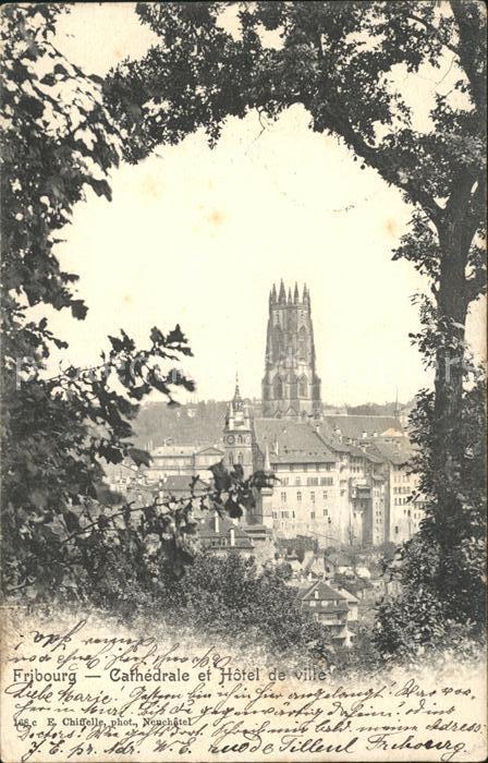 11773785 Fribourg FR Cathédrale et Hôtel de Ville Fribourg