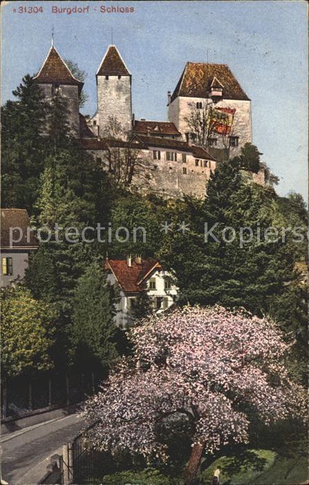 11774317 Burgdorf Bern Schloss Burgdorf