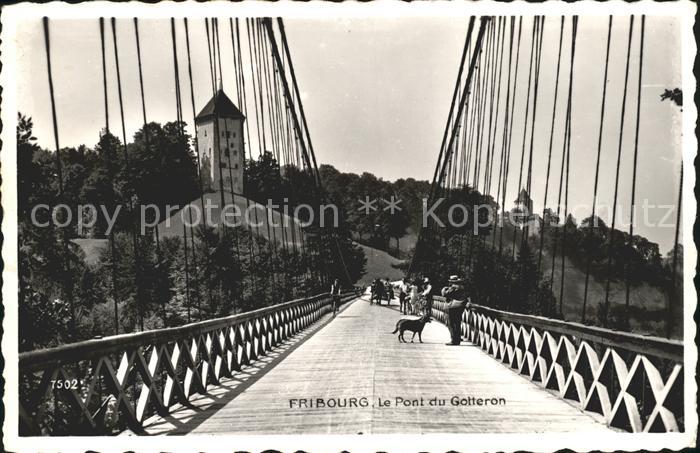 11755752 Fribourg FR Le Pont du Gotteron Fribourg