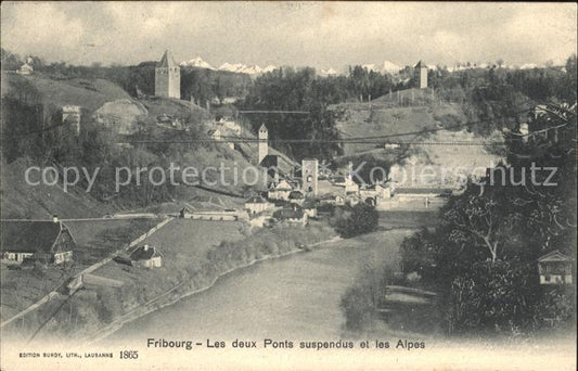 11757333 Fribourg FR Les deux Ponts suspendus et les Alpes Fribourg