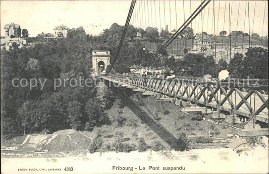 11757581 Fribourg FR Le Pont suspendu Fribourg