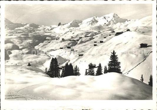 11837270 Arosa GR Domaine skiable Infang Koernli Pistes de ski Arosa GR