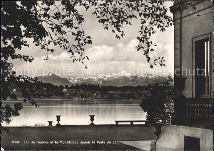 11849240 Genève GE Mont-Blanc Perle du Lac Genève