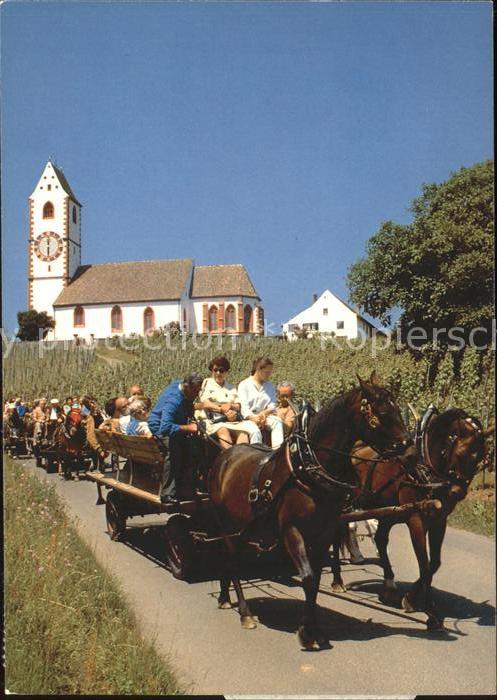 11862477 St Moritz GR Promenade en calèche à travers les vignobles de Hallau avec église de montagne S