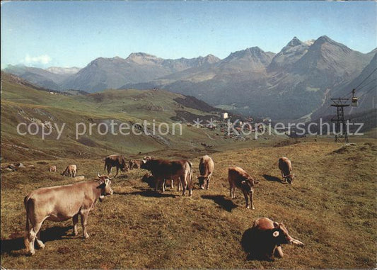 11851492 Arosa GR Chemin vers Hoernli Kuehe Weissfluh Medergerfluh Furkahoerner Aros