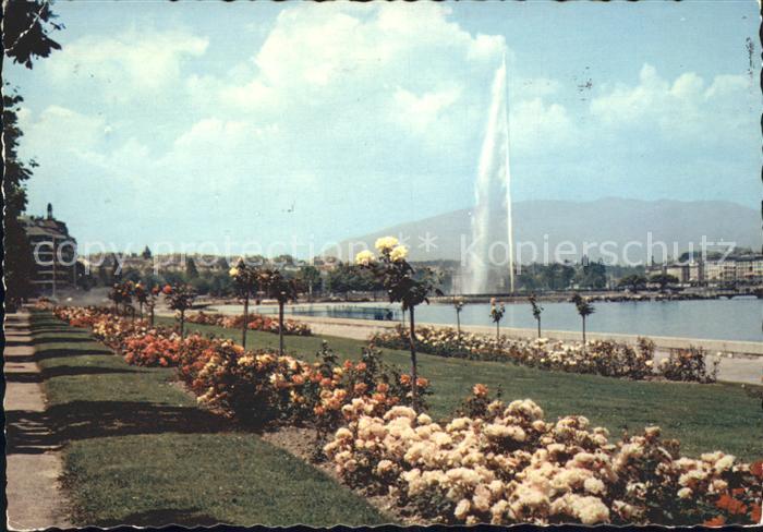 11856576 Geneve GE Quai Gustave Ader et le Jet d'Eau Geneve