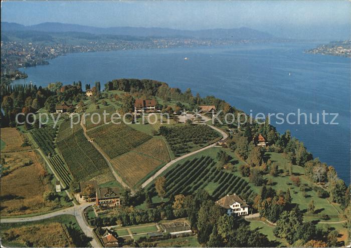 11852294 Auberge Zuerichsee au bord du lac de Zurich Photo aérienne de la péninsule Au Zuerich