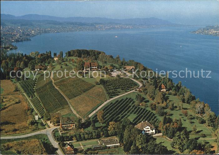 11871307 Au ZH Photographie aérienne de l'auberge rurale au bord du lac de Zurich, sur la presqu'île d'Au ZH