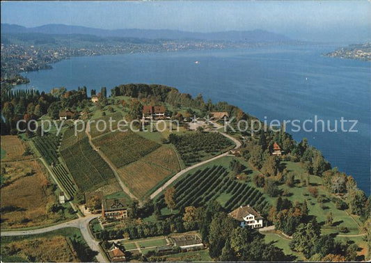 11871307 Au ZH Fliegeraufnahme Landgasthof am Zuerichsee Halbinsel Au ZH