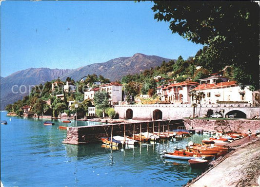 11865483 Ascona TI Vue sur la ville Port de plaisance d'Ascona