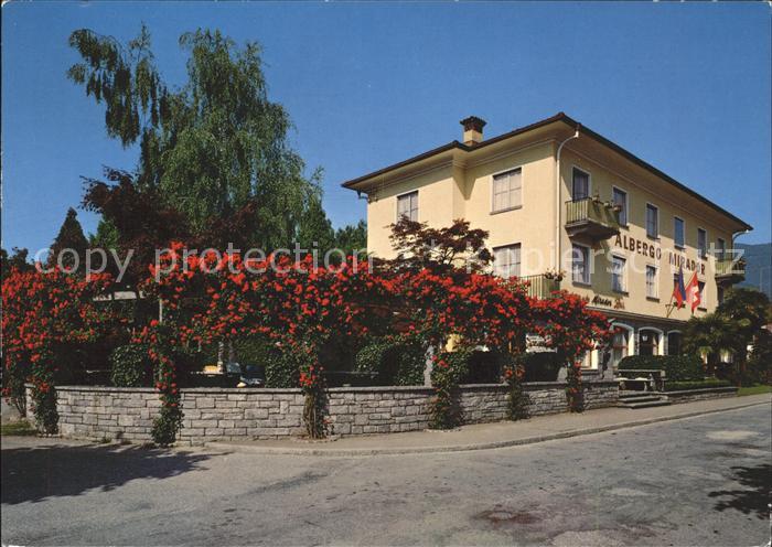 11851696 Ascona TI Hôtel Mirador Ascona