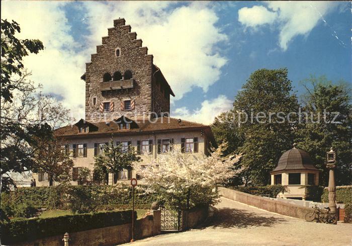 11852046 Uster ZH Château d'Uster Uster